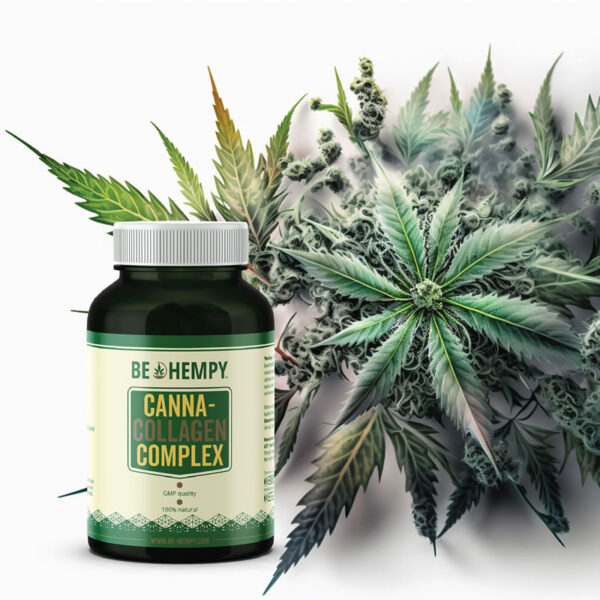 Kompleks Canna-Kolagen - Image 2